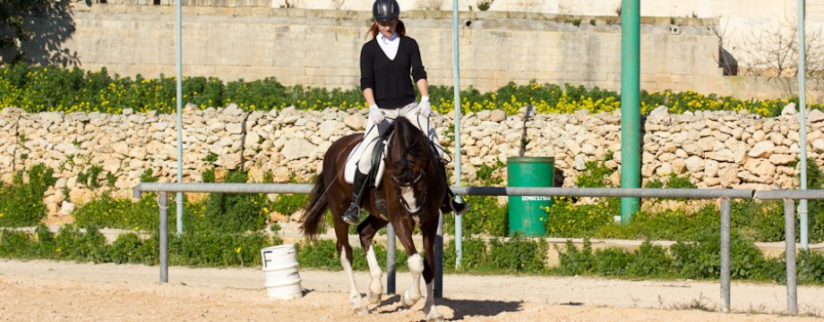 Horse Riding Malta