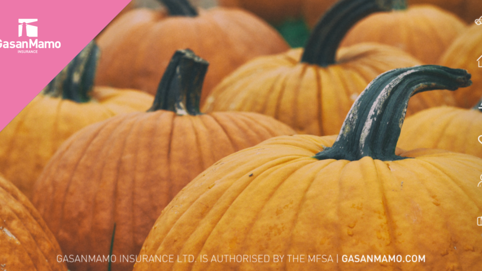 Autumn Food around Europe