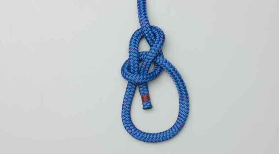 bowline knot