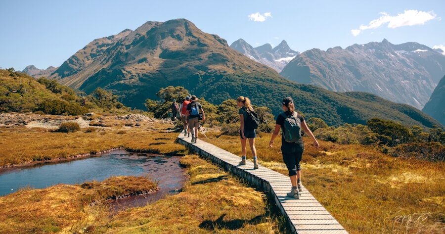 New Zealand Hiking