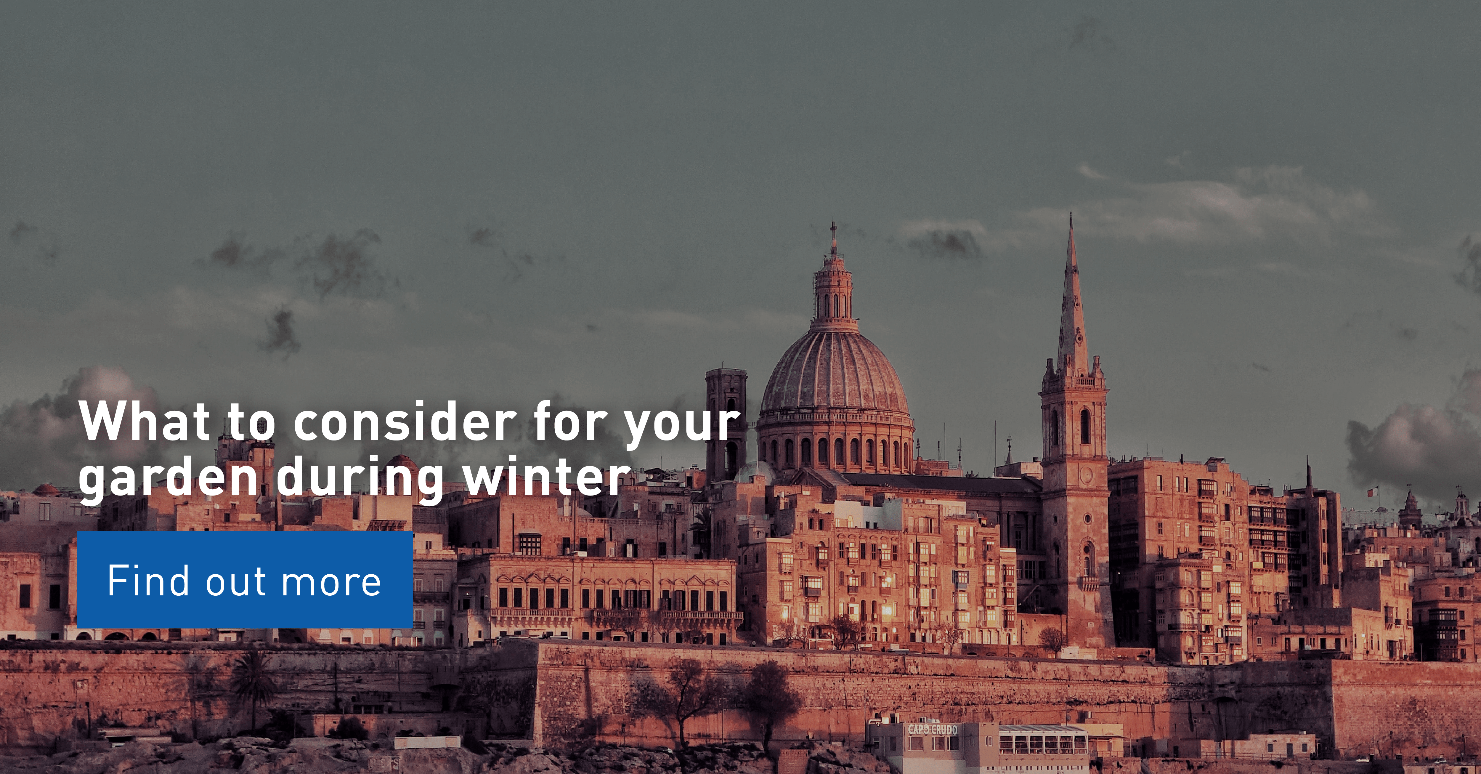 What to Consider for Your Garden During Winter